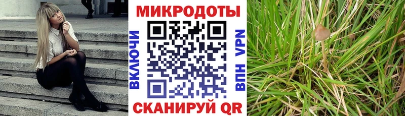 где продают наркотики  Мыски  Псилоцибиновые грибы Psilocybe 